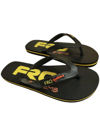 fro systems flip flops